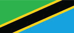Tanzania Flag